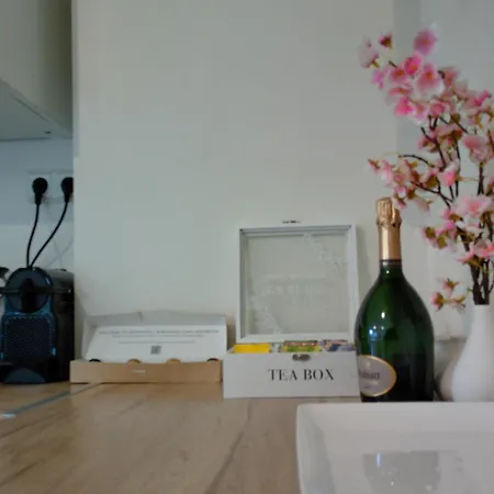 ベッド・アンド・ブレックファスト Elegant Living Room At Luxembourg Gare