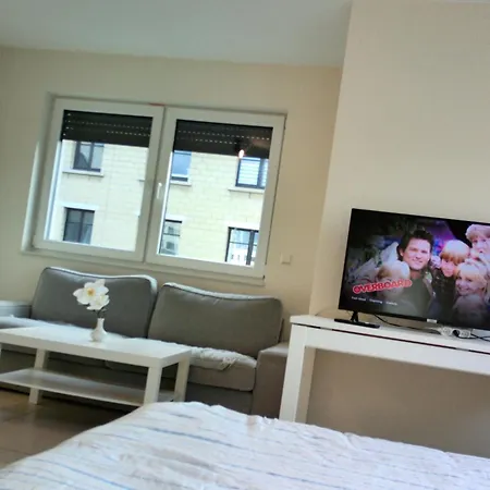 Elegant Living Room At Luxembourg Gare ベッド・アンド・ブレックファスト ルクセンブルク