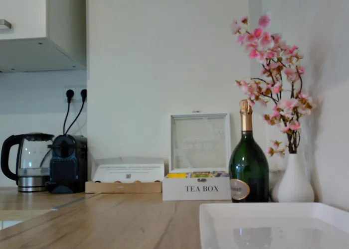 住宿加早餐酒店 Elegant Living Room At Luxembourg Gare